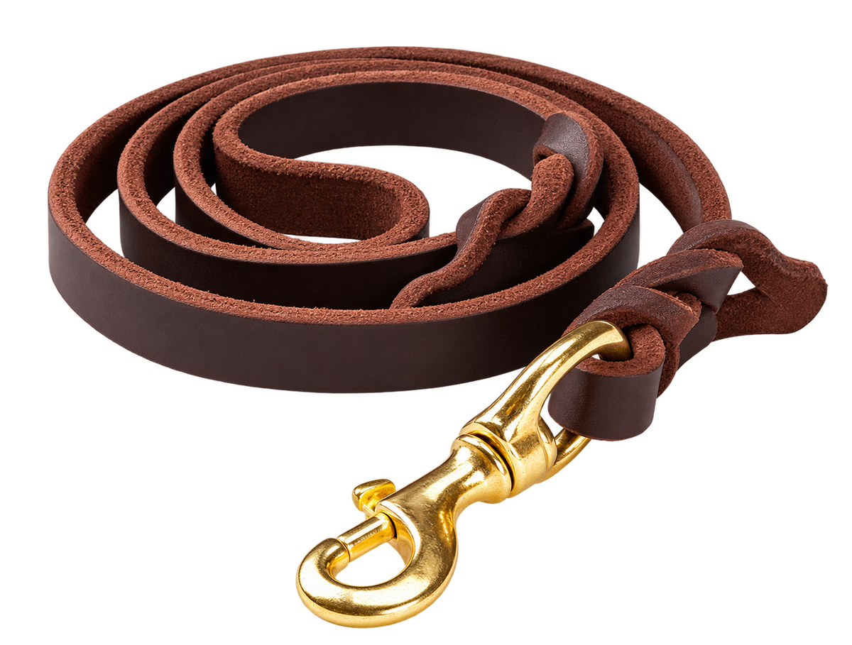 Leather Training Dog Leash — isolated product on a transparent background