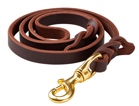 Leather Training Dog Leash — isolated product on a transparent background