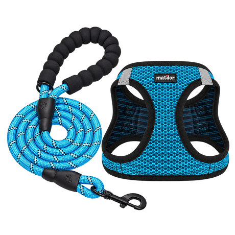 Mesh Dog Harness & Leash — isolated product on a transparent background