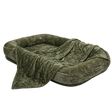 Oversized Pet & Human Lounge Bed isolated on transparent background