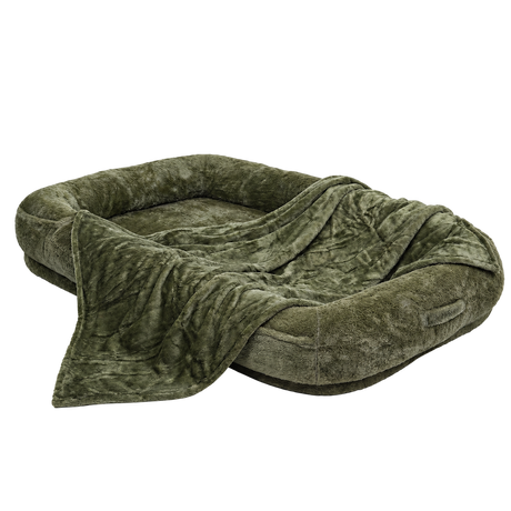 Oversized Pet & Human Lounge Bed isolated on transparent background
