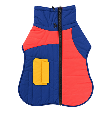 Padded Winter Dog Coat — isolated product on a transparent background