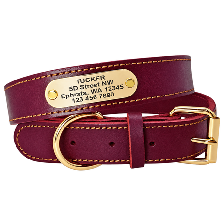 Personalised Leather ID Collar — isolated product on a transparent background