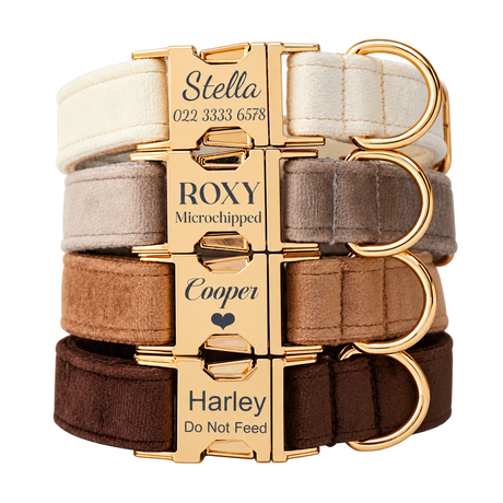 Personalised Velvet Walking Set — isolated product on a transparent background