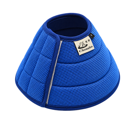 Pet Recovery Cone — isolated product on a transparent background
