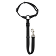 Pet Safety Leash — isolated product on a transparent background