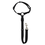 Pet Safety Leash — isolated product on a transparent background