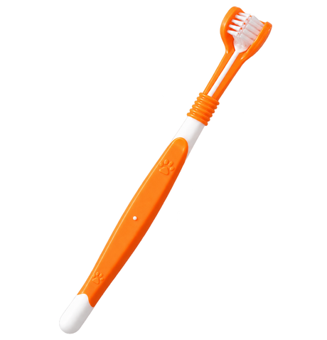 Pet Toothbrush — isolated product on a transparent background