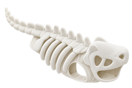 Plush Dinosaur Pet Costume — isolated product on a transparent background