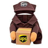 Pumpkin & Courier Pet Costumes — isolated product on a transparent background