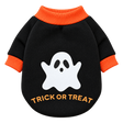 Pumpkin & Skull Dog Sweater — isolated product on a transparent background