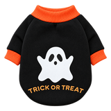 Pumpkin & Skull Dog Sweater — isolated product on a transparent background