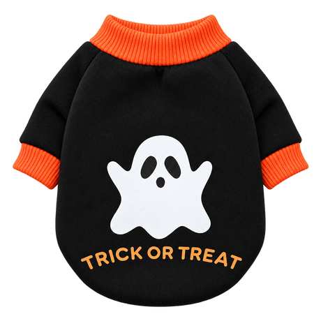 Pumpkin & Skull Dog Sweater — isolated product on a transparent background