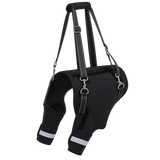 Rear-Leg Dog Support Harness — isolated product on a transparent background