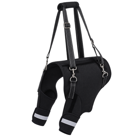 Rear-Leg Dog Support Harness — isolated product on a transparent background