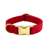 Red Velvet Dog Accessories — isolated product on a transparent background