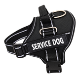 Reflective Dog Harness & Leash — isolated product on a transparent background