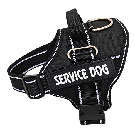 Reflective Dog Harness & Leash — isolated product on a transparent background