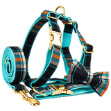 Retro Bow Walking Accessories — isolated product on a transparent background