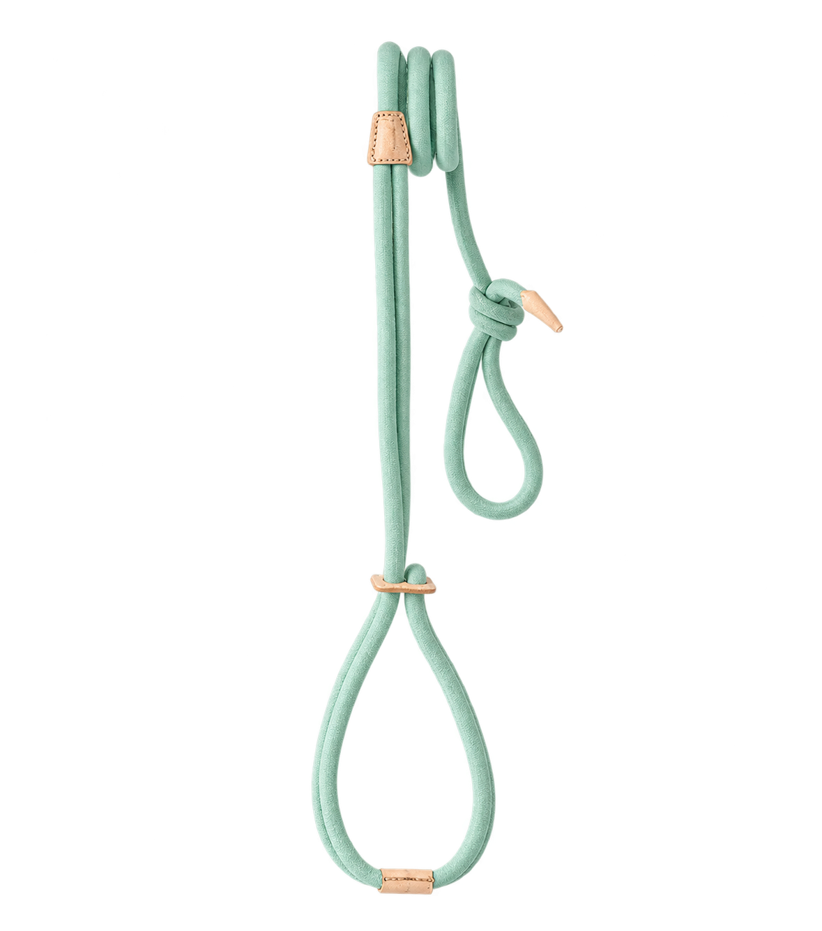 Rope Walking & Training Leash — isolated product on a transparent background