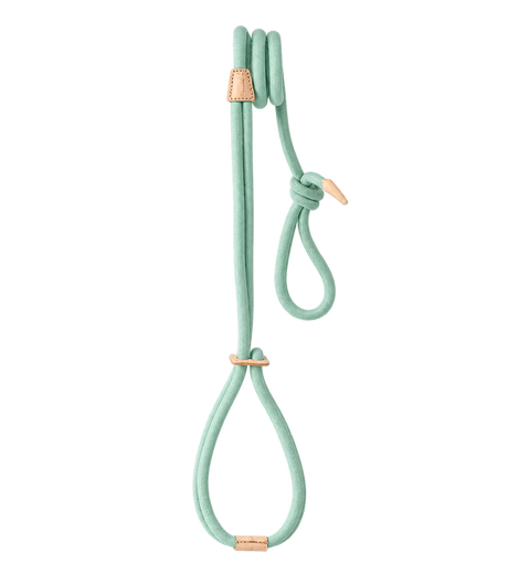 Rope Walking & Training Leash — isolated product on a transparent background