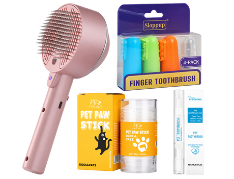 Self-Cleaning Pet Steam Brush — isolated product on a transparent background