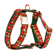Snowflake Dog Walking Accessories — isolated product on a transparent background