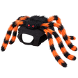 Spider Pet Costume — isolated product on a transparent background