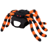 Spider Pet Costume — isolated product on a transparent background