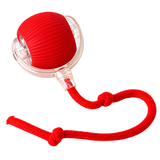 Super Drive Cat Play Ball — isolated product on a transparent background