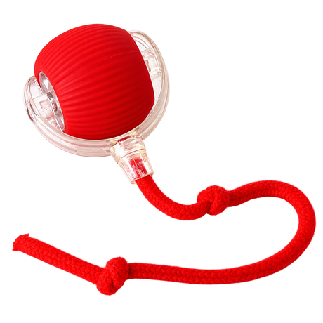 Super Drive Cat Play Ball — isolated product on a transparent background