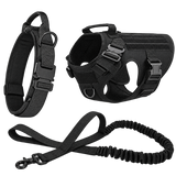 Tactical Dog Walking Set — isolated product on a transparent background