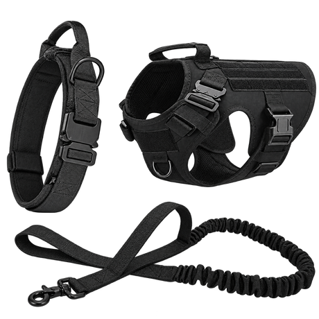 Tactical Dog Walking Set — isolated product on a transparent background