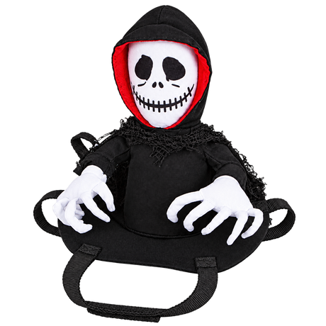 Teddy Bear Pet Cape — isolated product on a transparent background