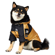Black and tan dog wearing The Dog Fans metallic gold and black hooded jacket, transparent background