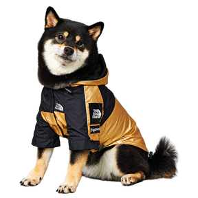 Black and tan dog wearing The Dog Fans metallic gold and black hooded jacket, transparent background