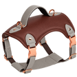 Vest Dog Harness — isolated product on a transparent background