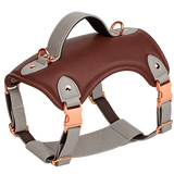 Vest Dog Harness — isolated product on a transparent background