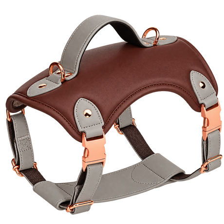 Vest Dog Harness — isolated product on a transparent background