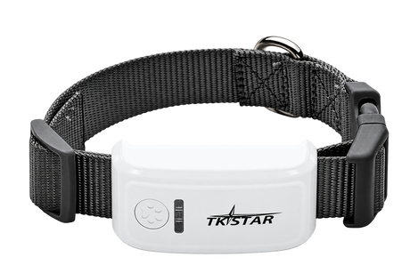 Waterproof GPS Pet Tracker — isolated product on a transparent background
