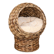 Wicker Egg Chair Cat Bed isolated on transparent background